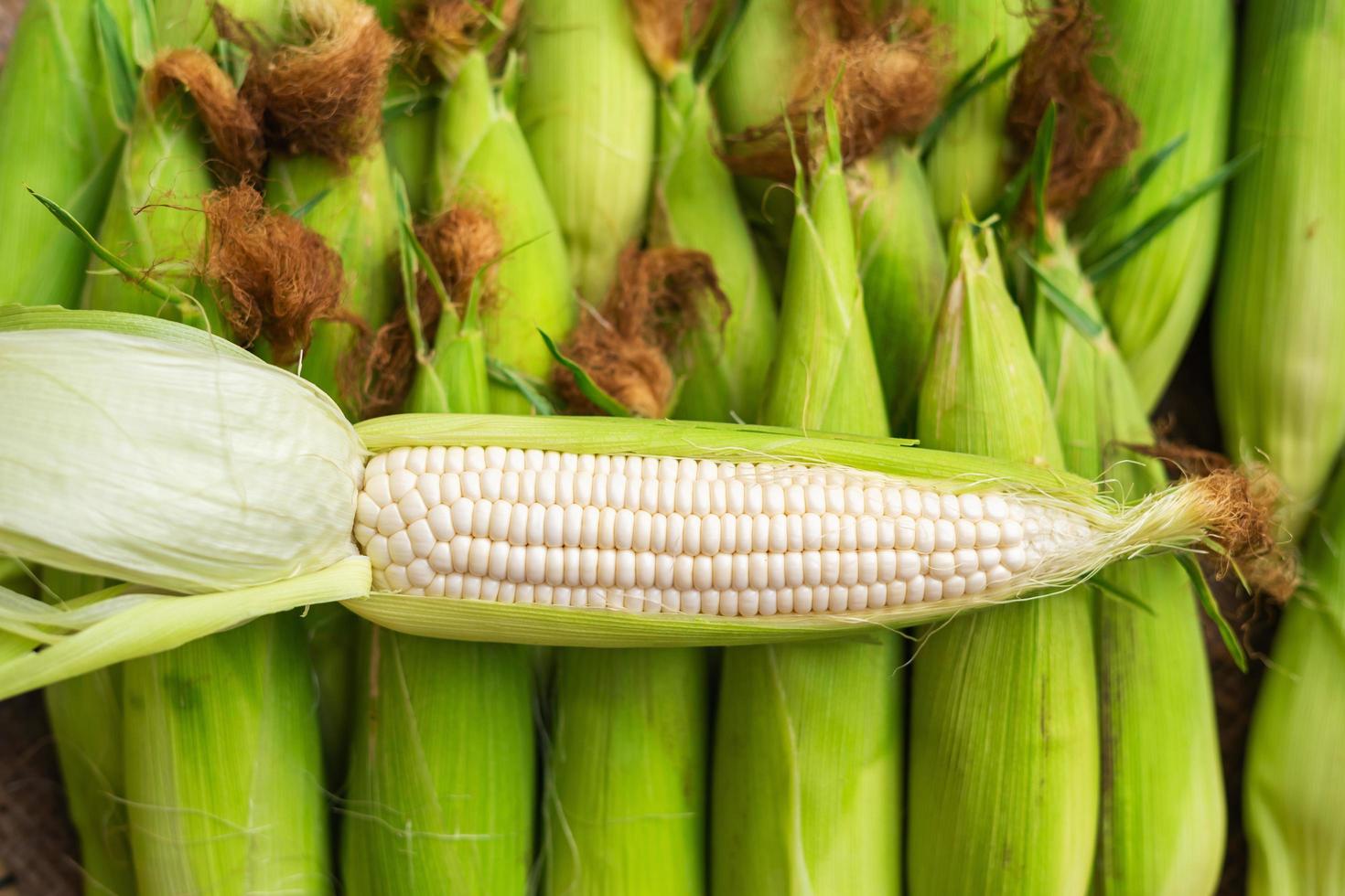 close up peeled of corn on table background photo