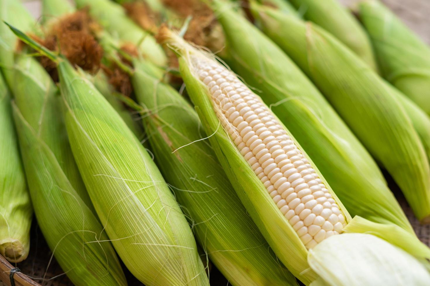 close up peeled of corn on table background photo