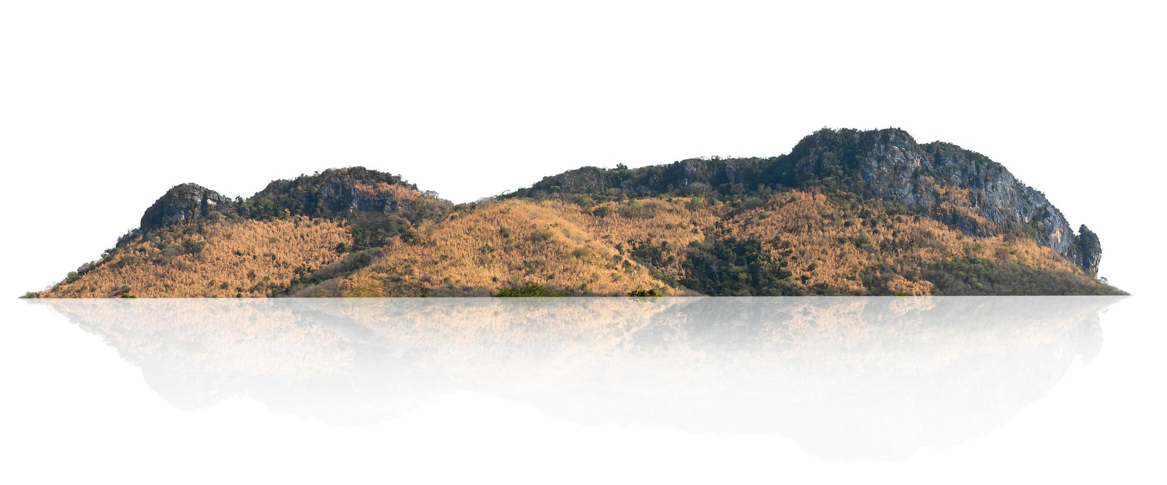 rock mountain hill with  green forest isolate on white background photo