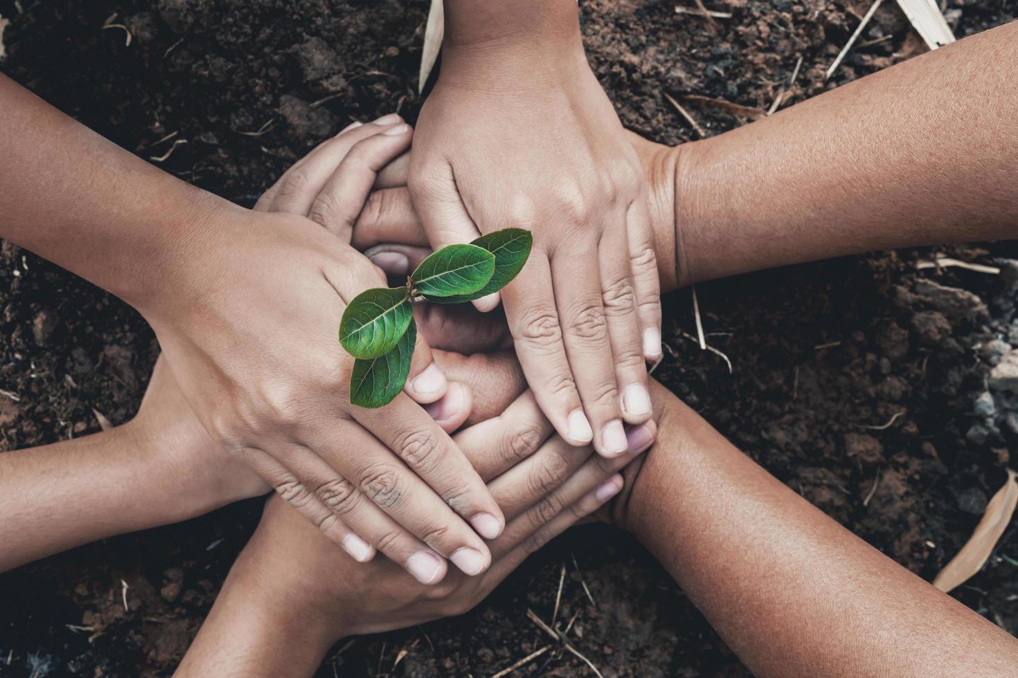 hand protection tree in garden concept save earth photo