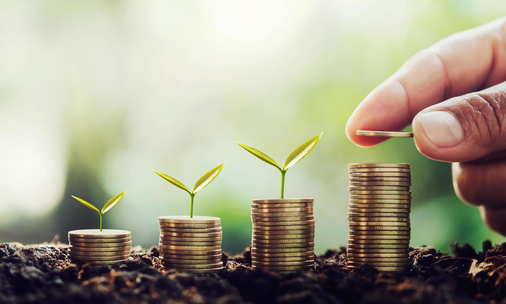 hand putting money on stack with small tree growing step in coins. concept finance and accounting photo