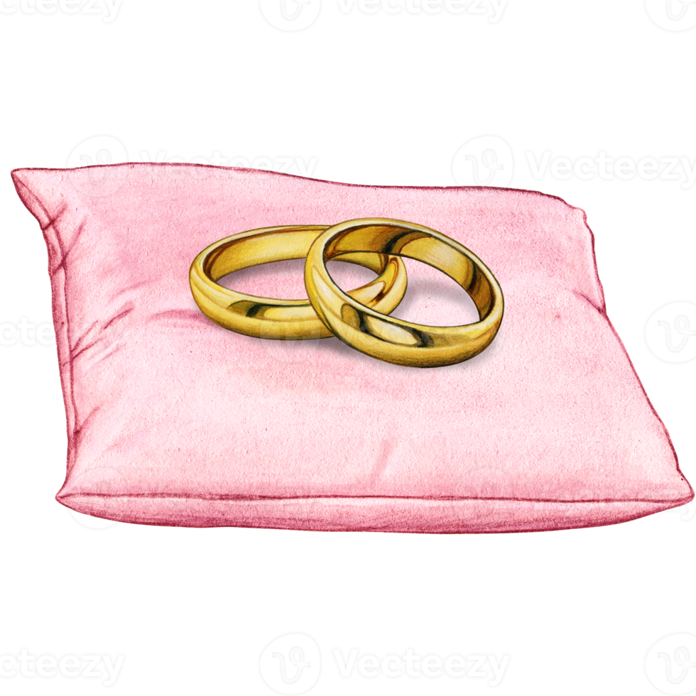 watercolor hand drawn wedding rings on cushion png