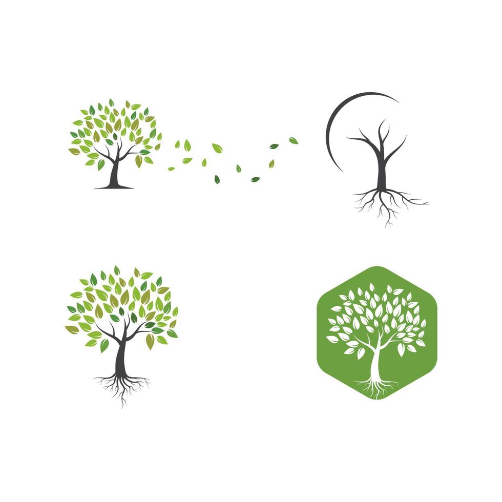 árbol icono logo modelo vector