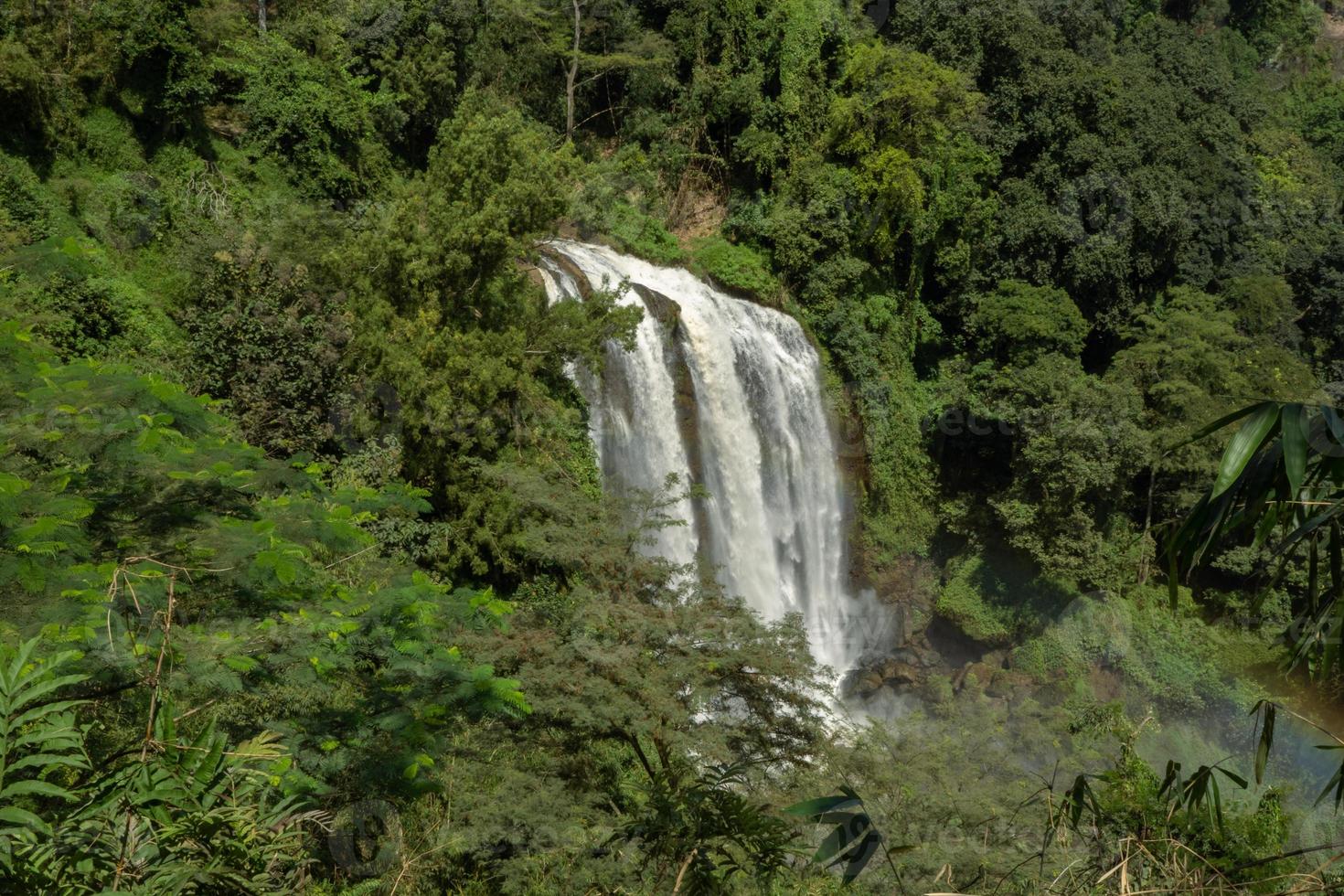 Landscape photo of great water fall on the travel destination Semarang Central Java. The photo is suitable to use for adventure content media, nature poster and forest background.