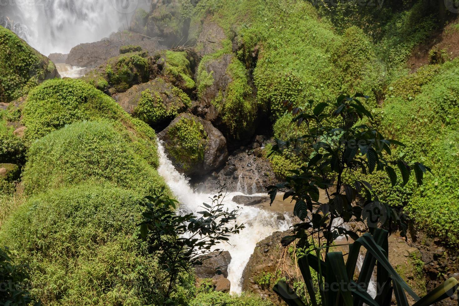 Landscape photo of great water fall on the travel destination Semarang Central Java. The photo is suitable to use for adventure content media, nature poster and forest background.