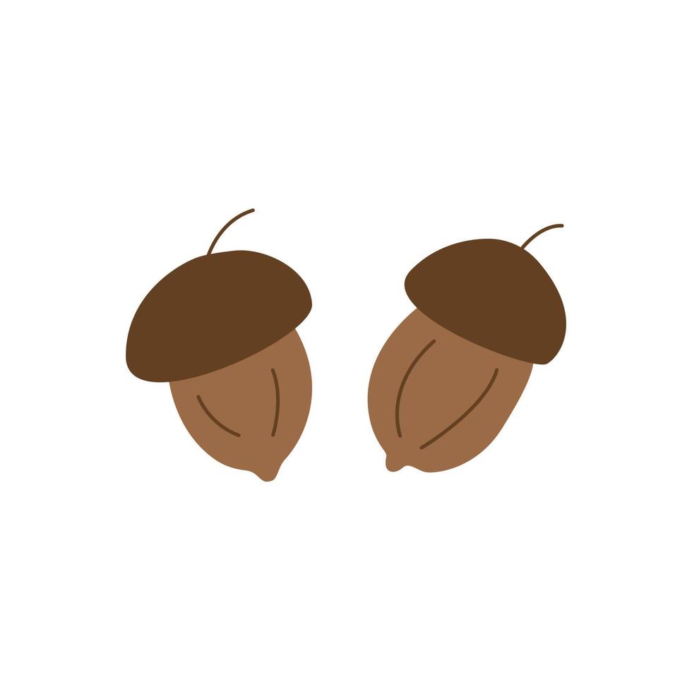 Acorns on a white background. Hand drawn vector