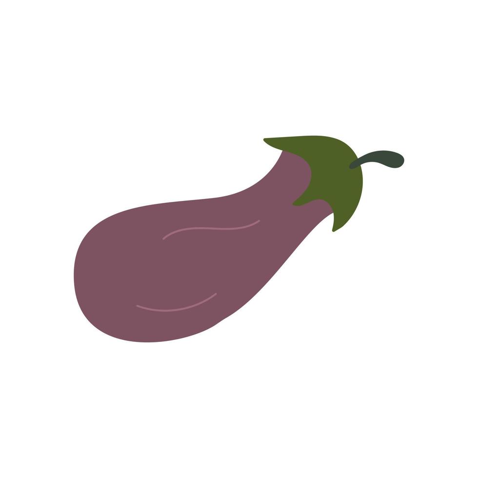 Eggplant. Purple vegetable. Colorful vector. Violet aubergine. Harvest vector