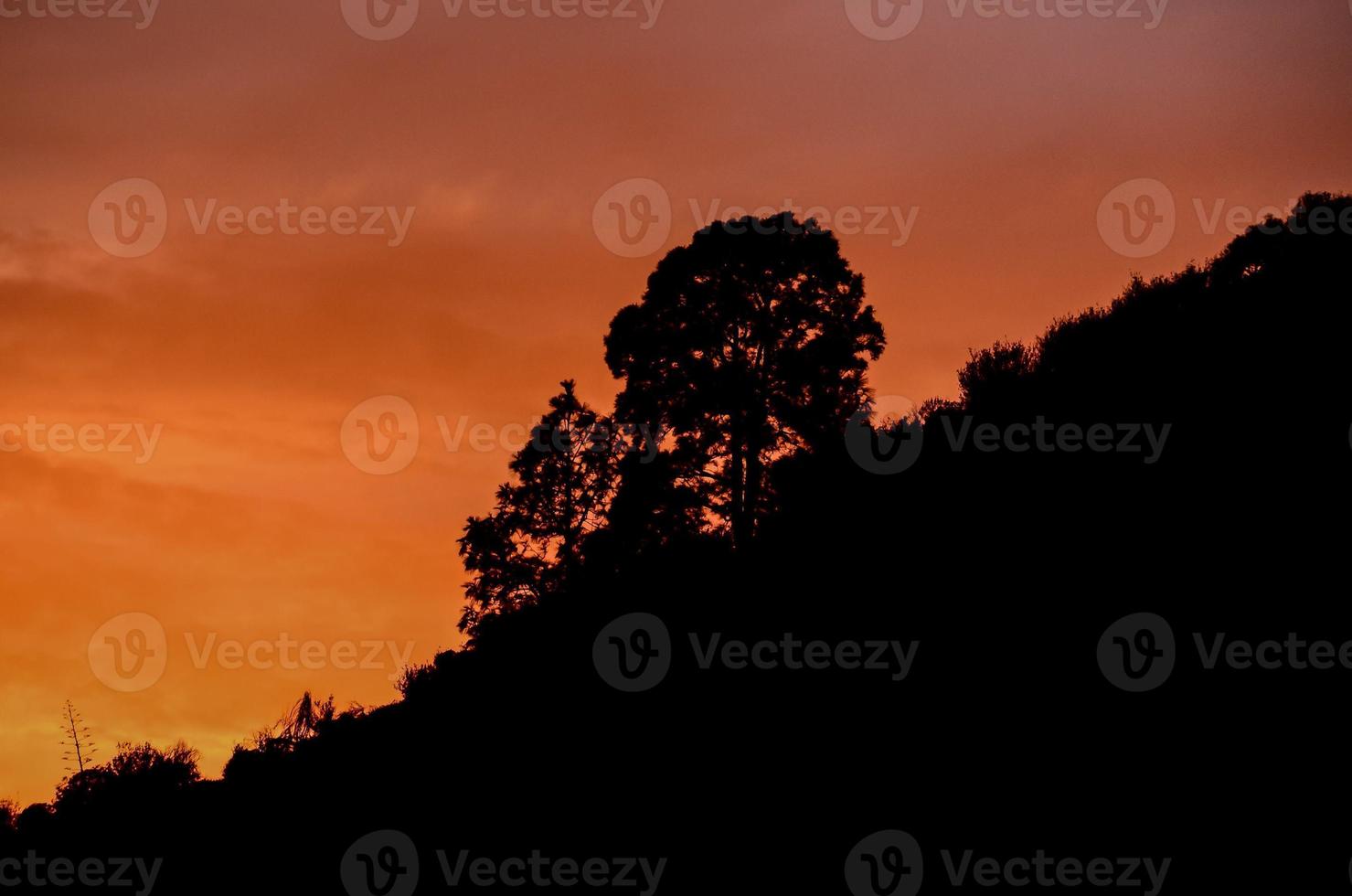 A beautiful sunset photo