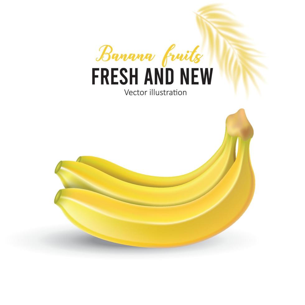 banana on white background with Vector Design