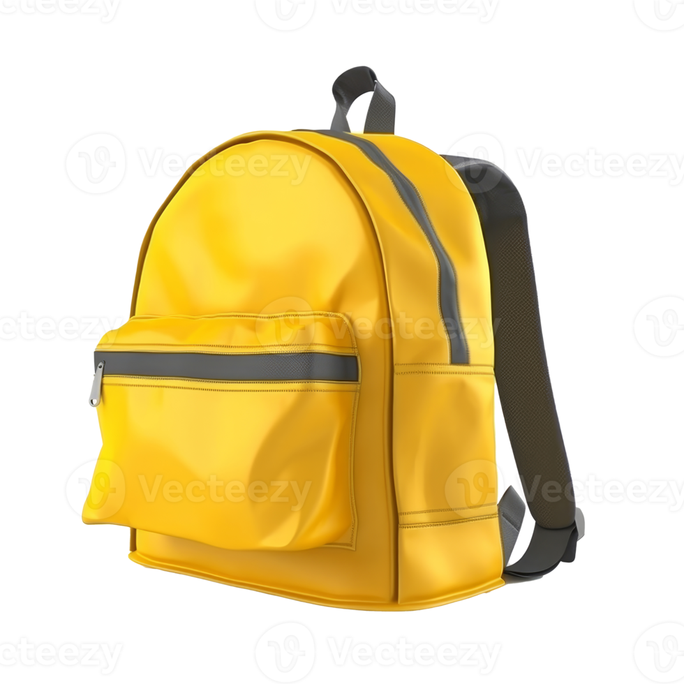 School backpack isolated. png
