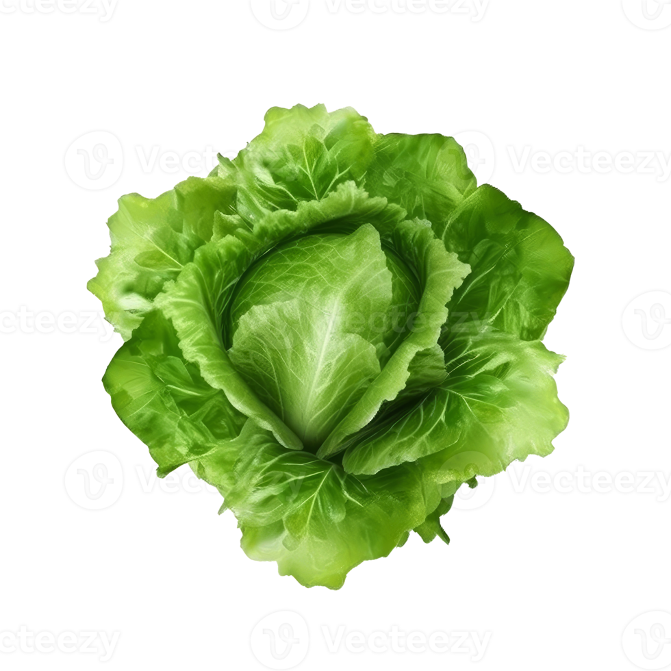 Green lettuce isolated. 22149367 PNG