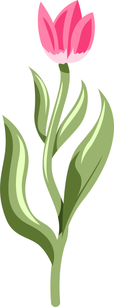 tulipa png gráfico clipart Projeto