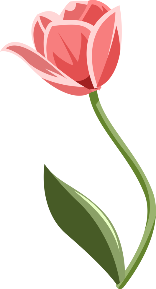 Tulip png graphic clipart design