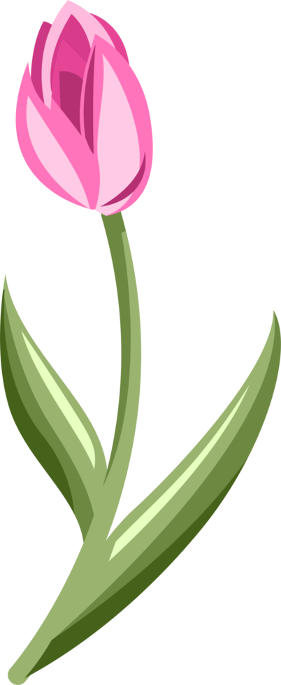 tulipano png grafico clipart design