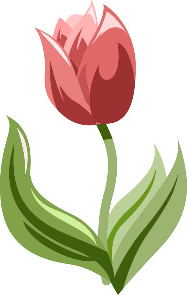 Tulip png graphic clipart design