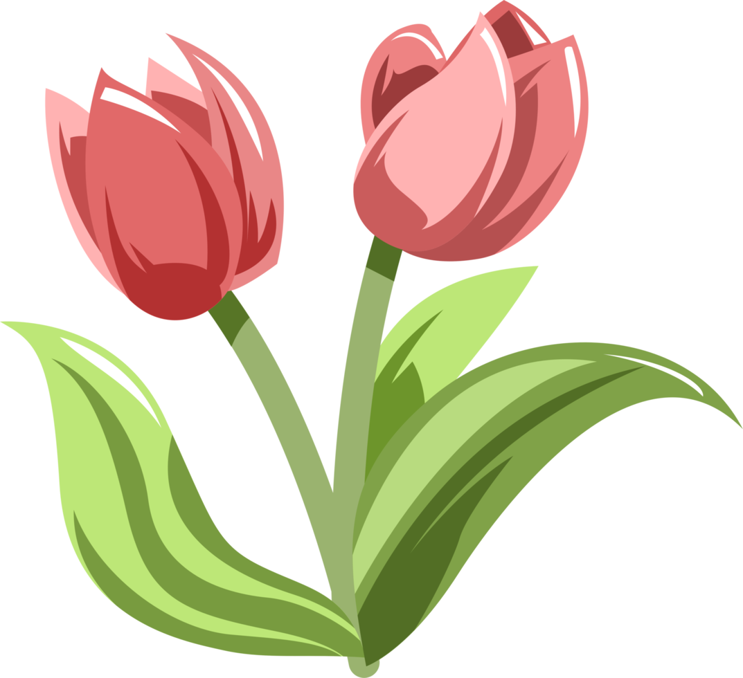 Tulip png graphic clipart design