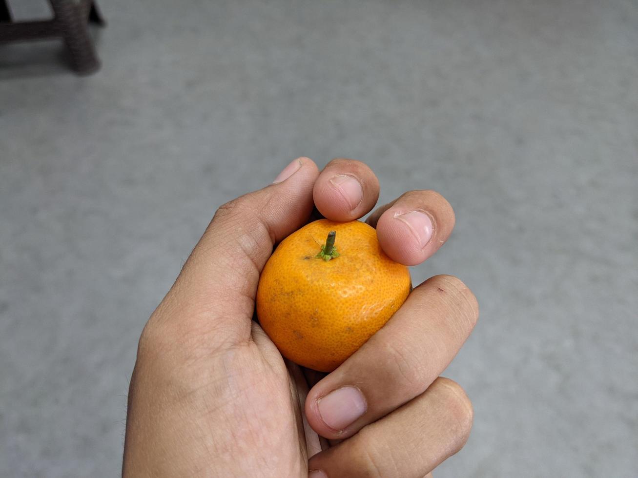 pequeño naranja sostener en el desnudo mano. el foto es adecuado a utilizar para Fruta antecedentes y vendedor publicidad.