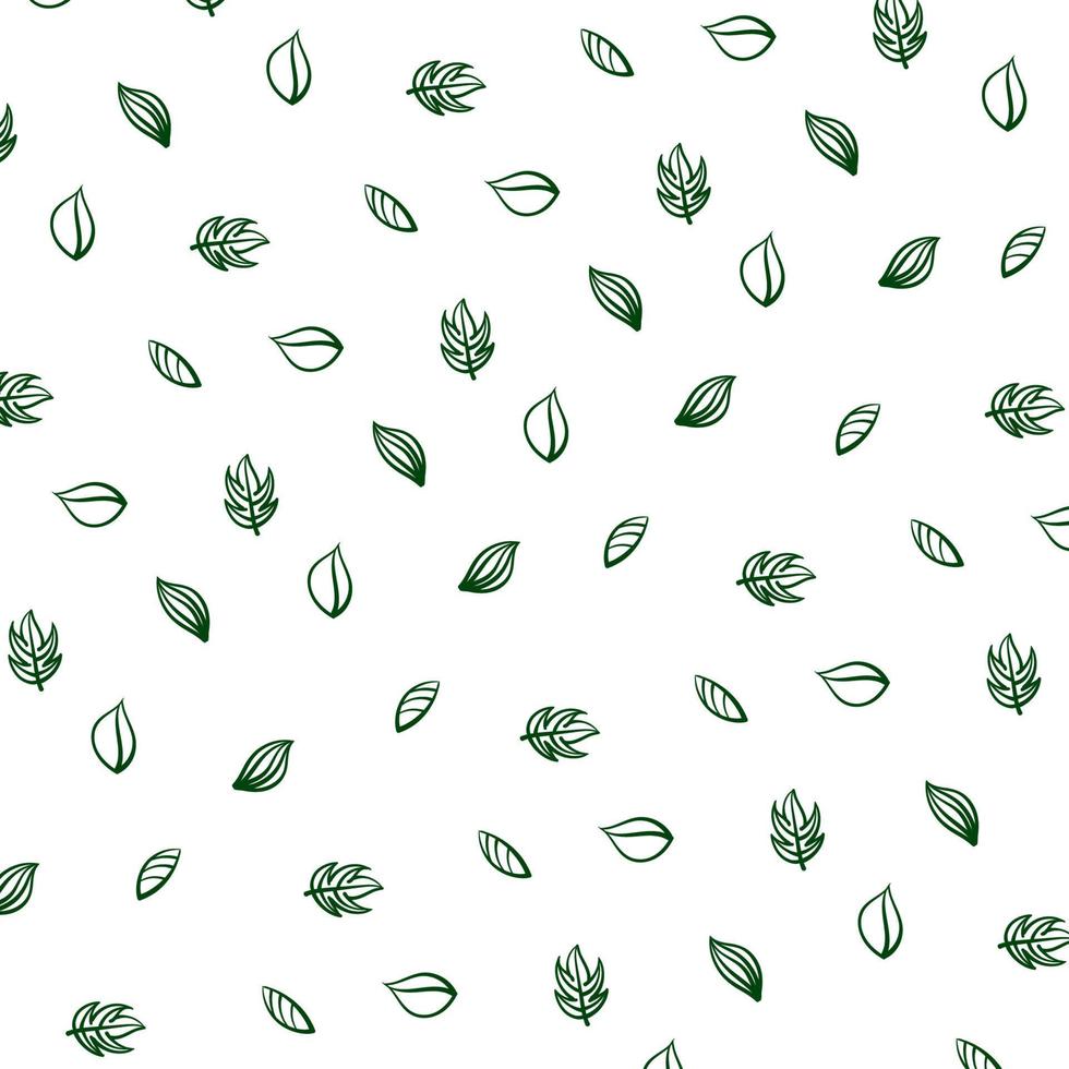 leaves pattern vector background illustration