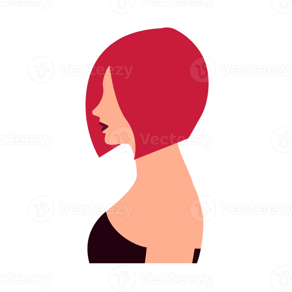 woman character with stylish hair png