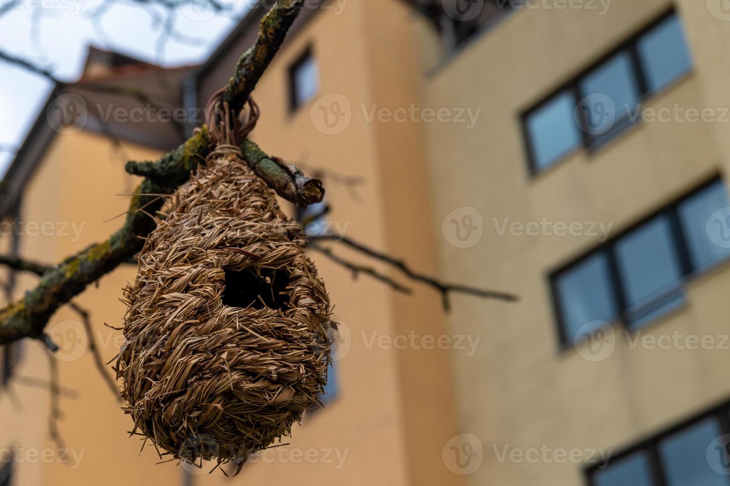 an artificial bird nest on a tree photo