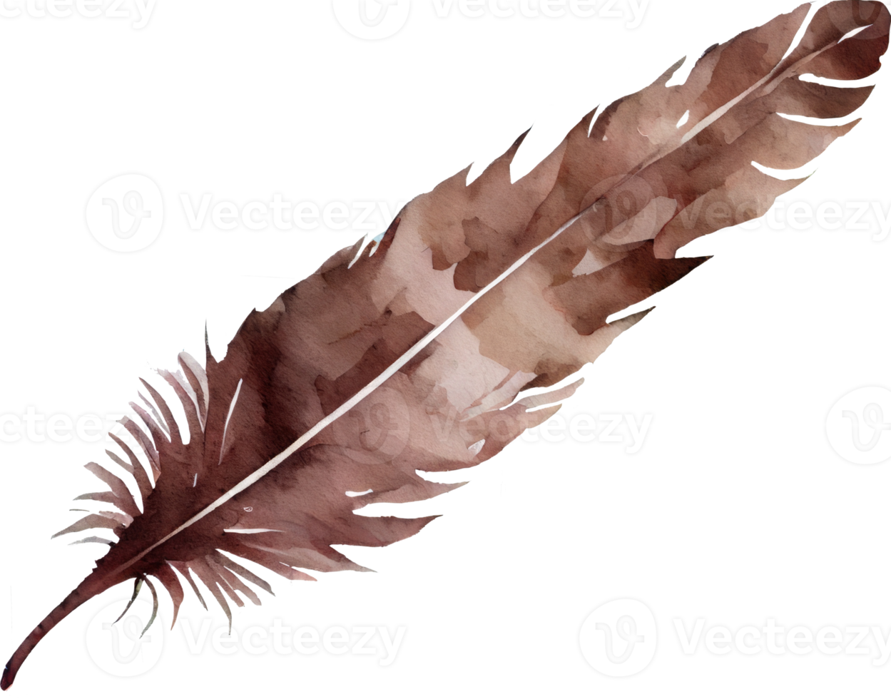 Colorful Feather Watercolor png