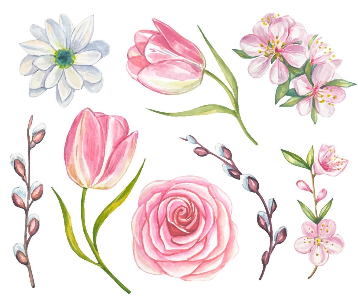 Spring watercolor set of pink roses, blooming apple tree branches, tulips, willow. Watercolor vector