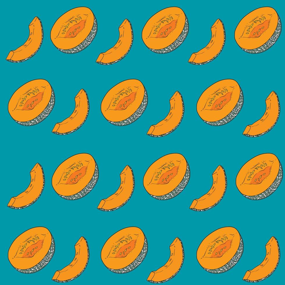 Pattern with melon slices and halves on blue background vector