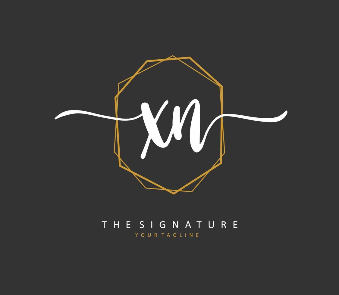 X norte xn inicial letra escritura y firma logo. un concepto escritura inicial logo con modelo elemento. vector