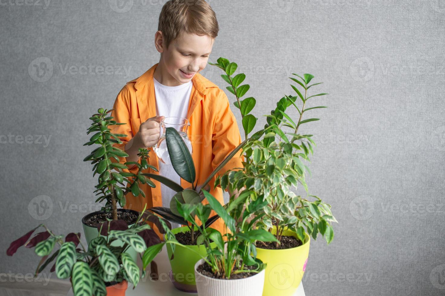 un linda chico en un camisa es estudiando interior verde plantas, cuidando para flores jarra de agua foto