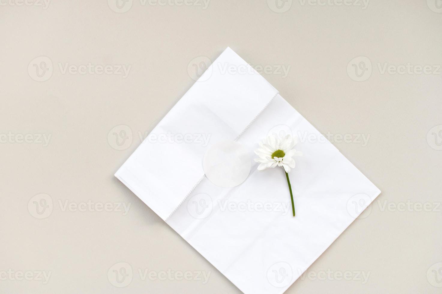 redondo blanco pegatina modelo, redondo etiqueta modelo en Kraft papel regalo bolsa, margarita flor foto