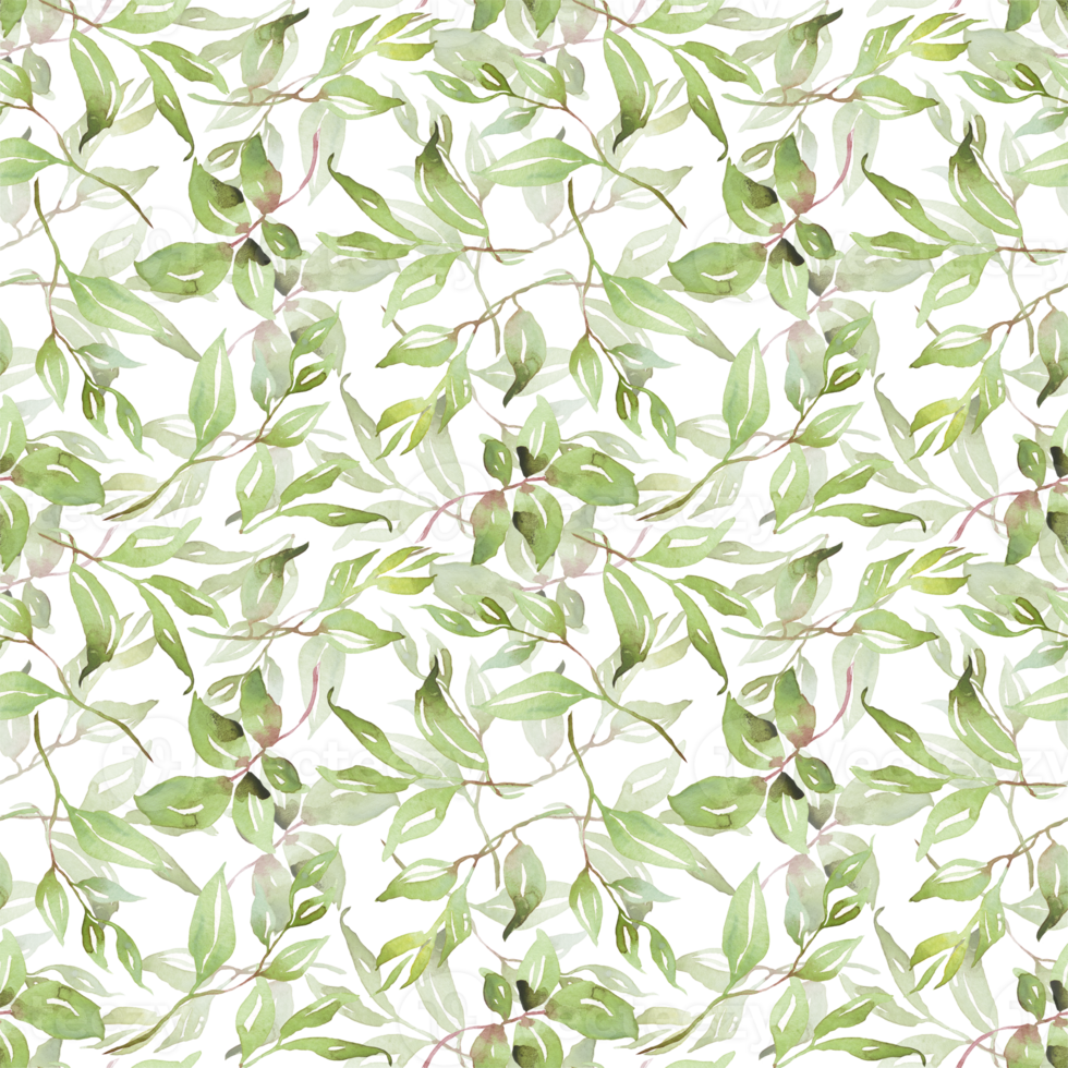 Green leaves seamless patterns. Watercolor illustration png