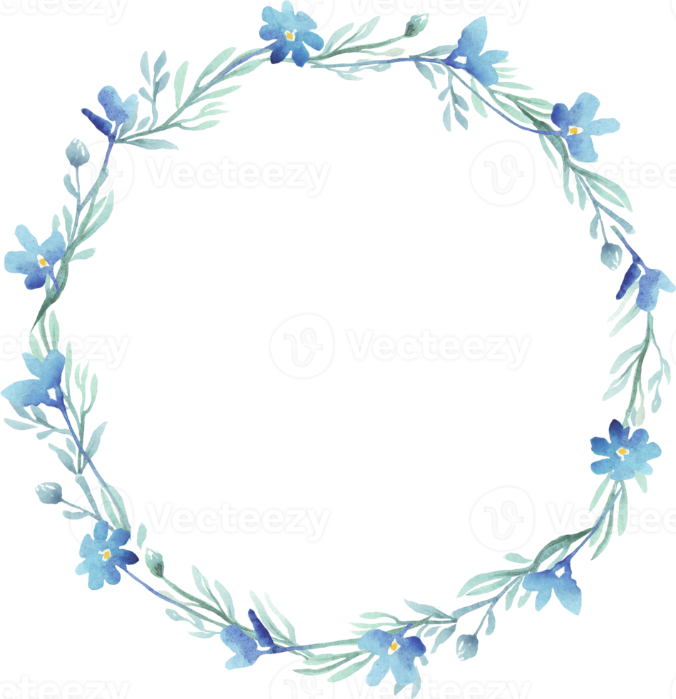 Forget-me-not wreath. Watercolor clipart png