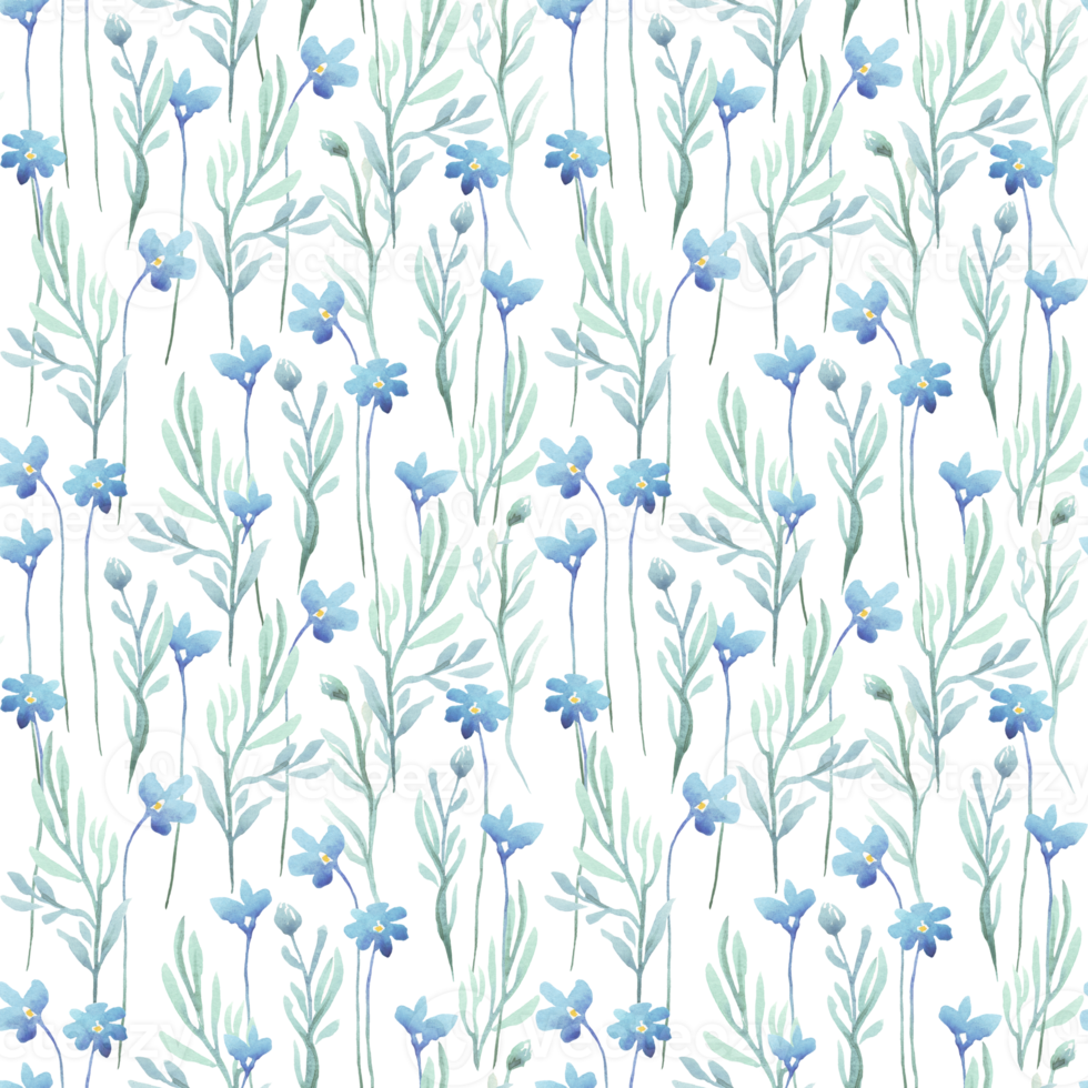 Forget me not seamless pattern. Watercolor illustration png