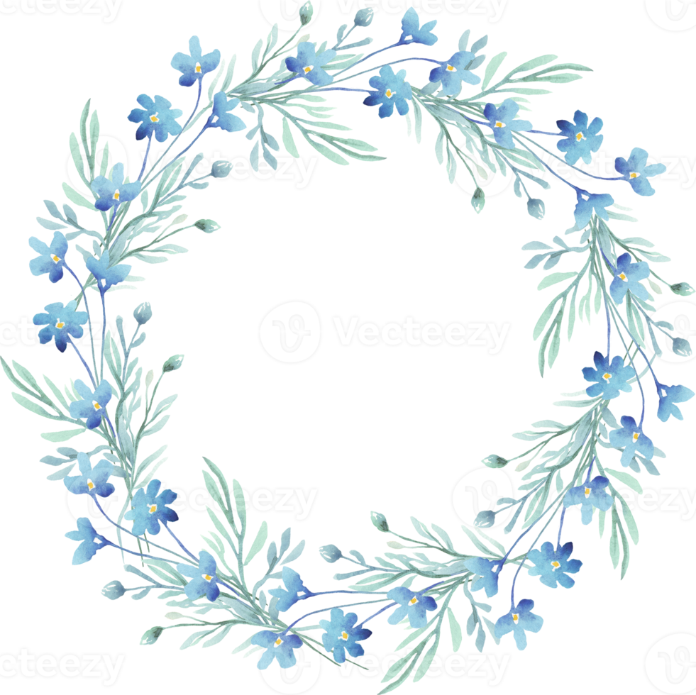 Forget-me-not wreath. Watercolor clipart png