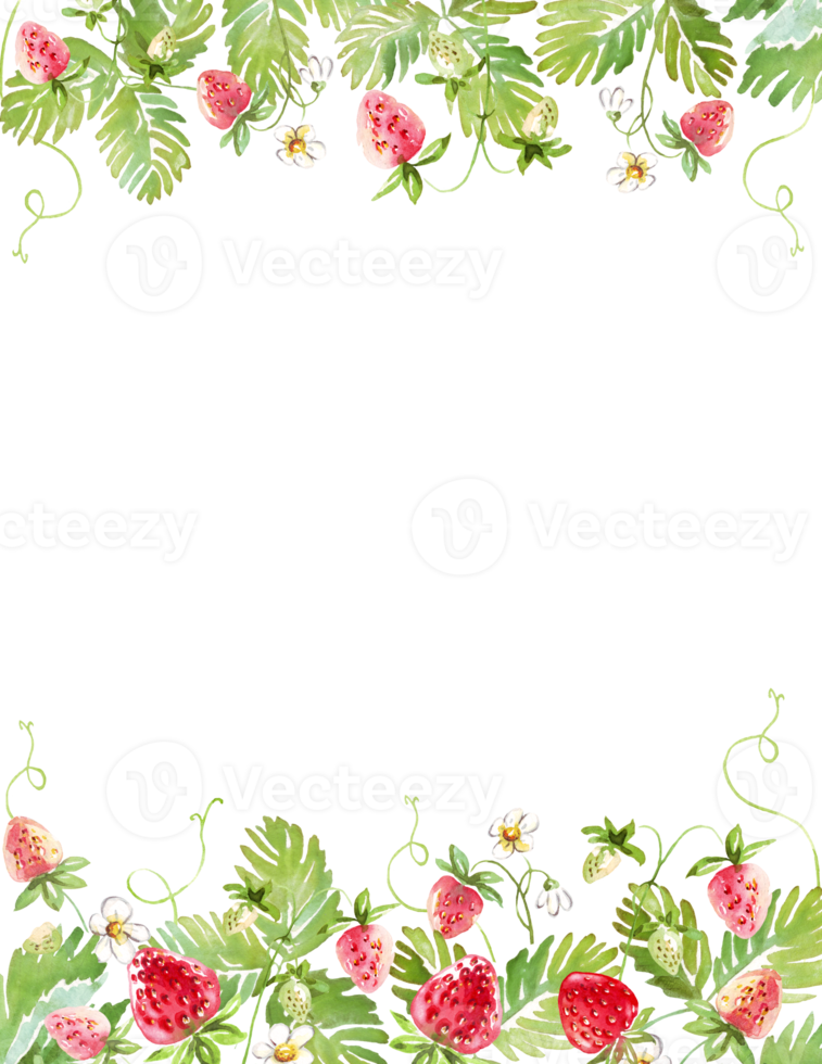Strawberry frame. Watercolor clipart png