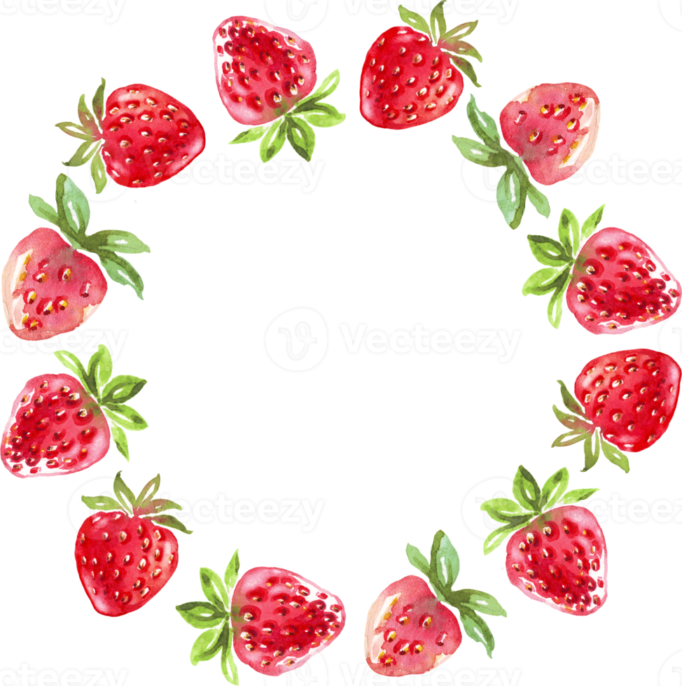 Strawberry wreath. Watercolor clipart png