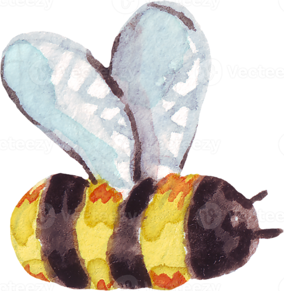 Watercolor bee. Hand-painted clipart png