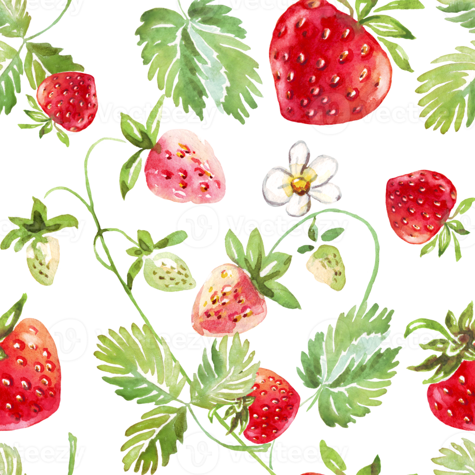 Strawberry seamless pattern. Hand-painted illustration png