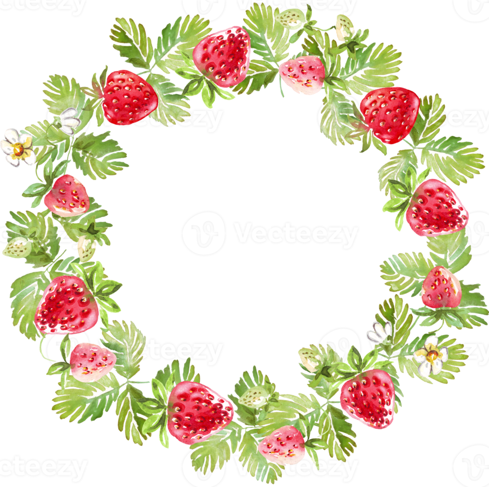 Strawberry wreath. Watercolor clipart png