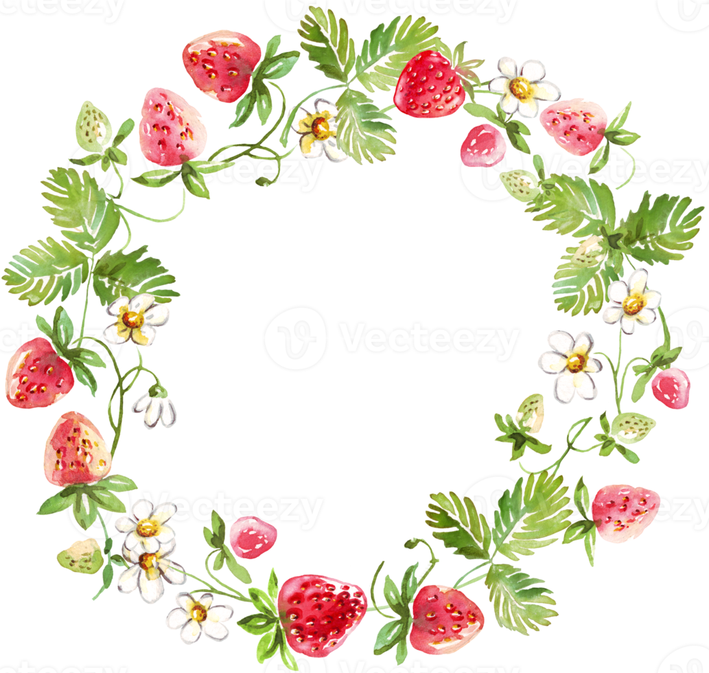 Strawberry wreath. Watercolor clipart png