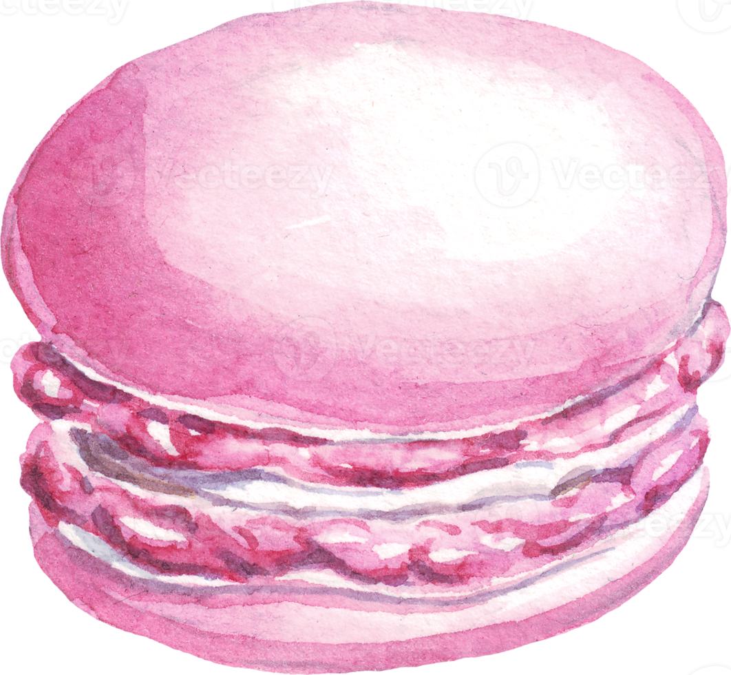 Macaroon. Dessert. Watercolor illustration png