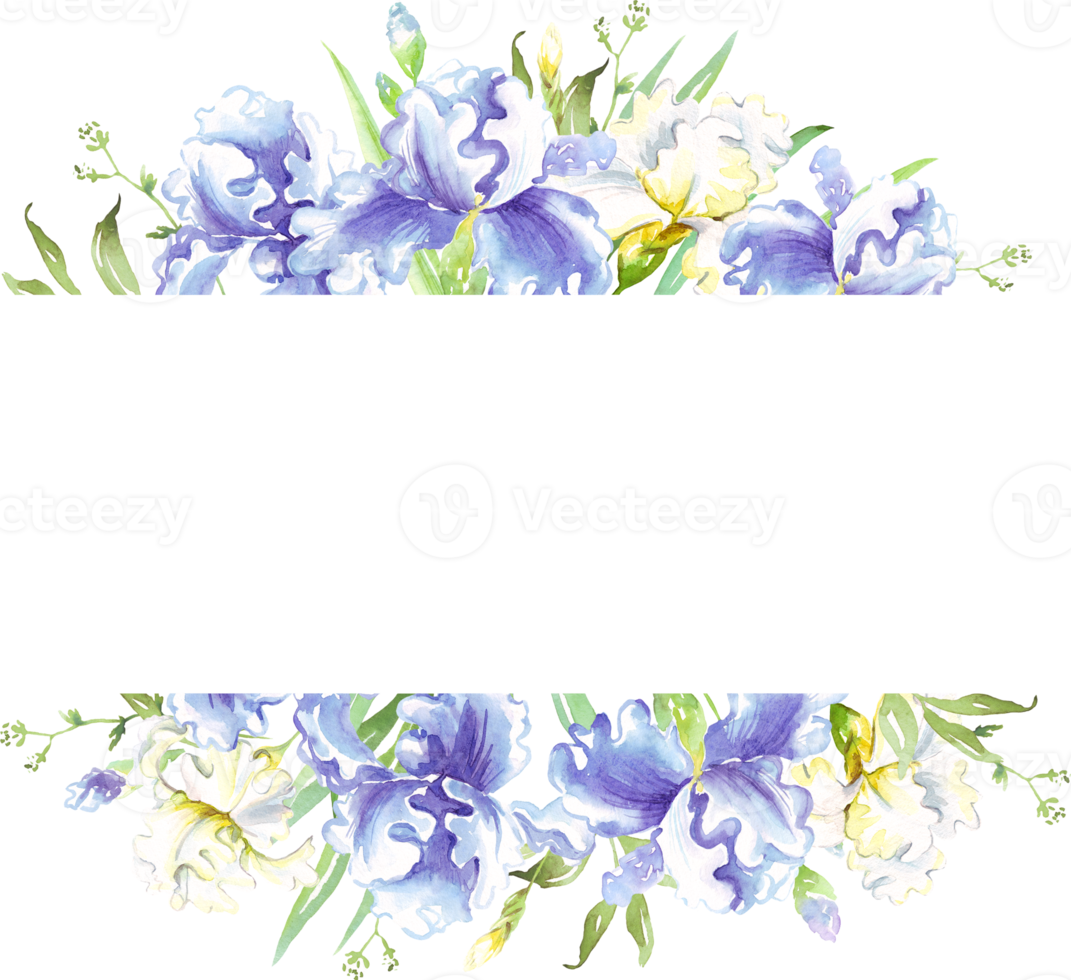 Watercolor iris frame. Hand-painted clipart png