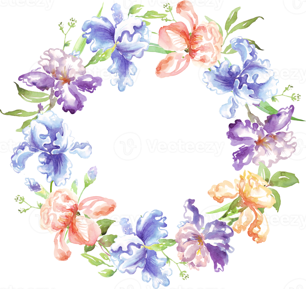 waterverf iris lauwerkrans. hand geschilderd clip art png