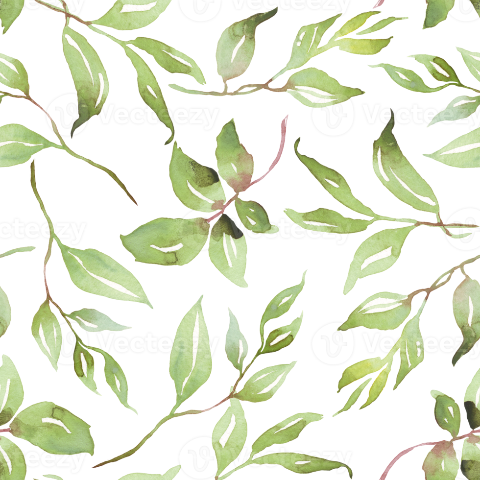 Green leaves seamless patterns. Watercolor illustration png