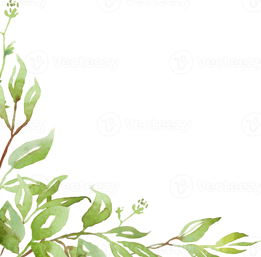 Watercolor greenery frame png
