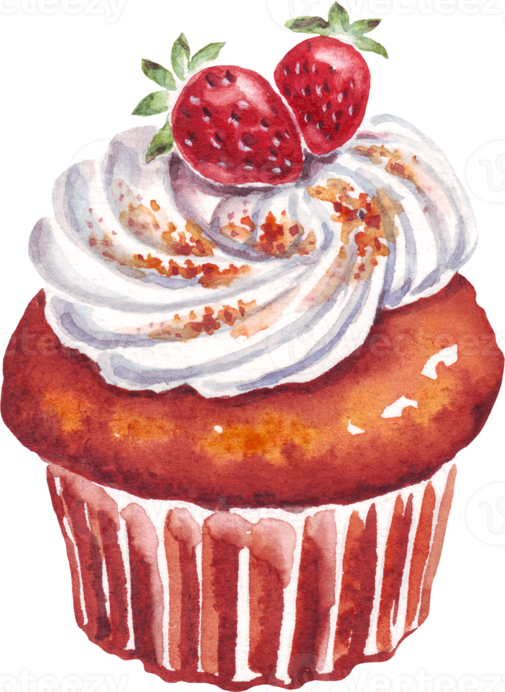 Cupcake. Dessert. Watercolor illustration png