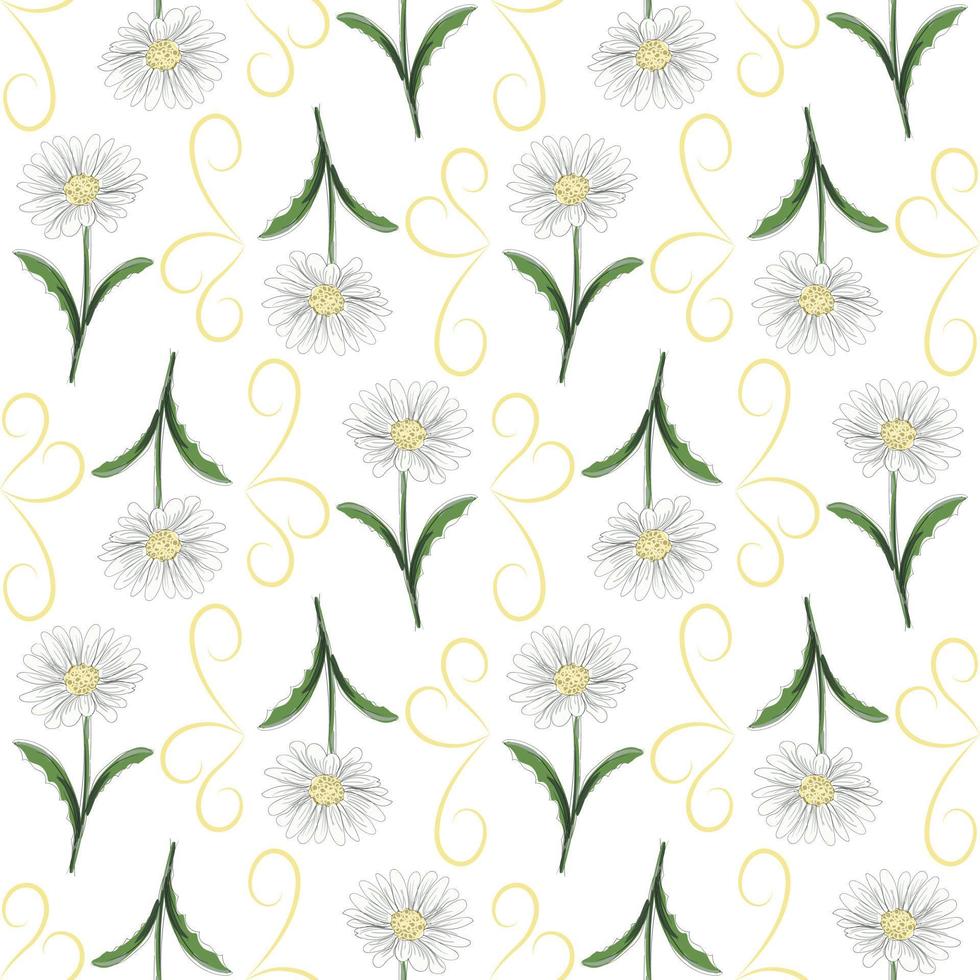 Modern seamless floral pattern, hand-drawn daisies on a white background. An elegant template for fashionable prints, printing, website design. vector