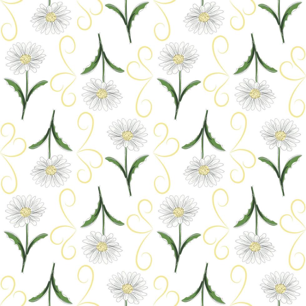 Modern seamless floral pattern, hand-drawn daisies on a white background. An elegant template for fashionable prints, printing, website design. vector