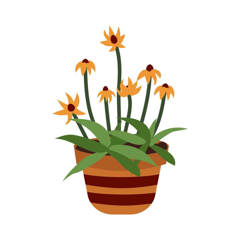 Spring flowers. Rudbeckia in a pot. Yellow flowering plant. Botanical theme. Beautiful summer garden flowers. Herbaceous annual plant. Flat style vector illustration of Rudbeckia.