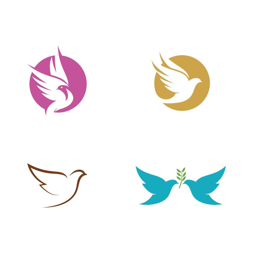 Bird wing Dove icon Template vector illustration